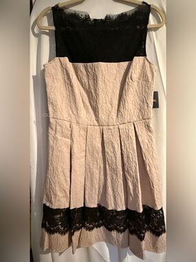 Taylor Dresses Beige and Black Lace Mini Dress